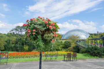とっとり花回廊