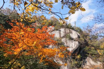 鬼の舌震