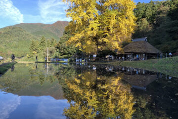 金言寺