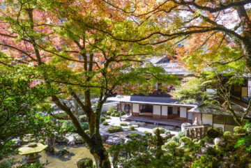 津和野 堀庭園