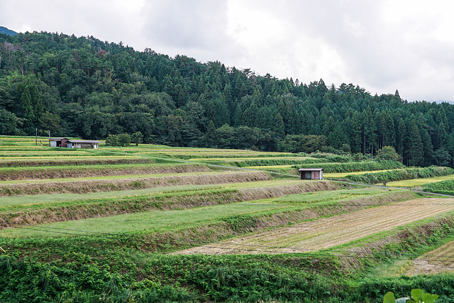 大原新田